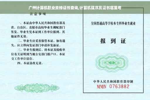 广州计算机职业资格证书查询,计算机程序员证书哪里考