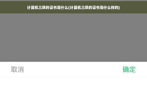 计算机三级的证书是什么(计算机三级的证书是什么样的)