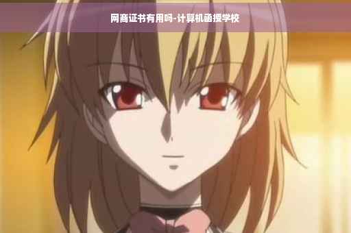 网商证书有用吗-计算机函授学校
