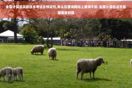 全国计算机高新技术考试合格证书,怎么在查询网站上查询不到-全国计算机证书是哪里发的啊