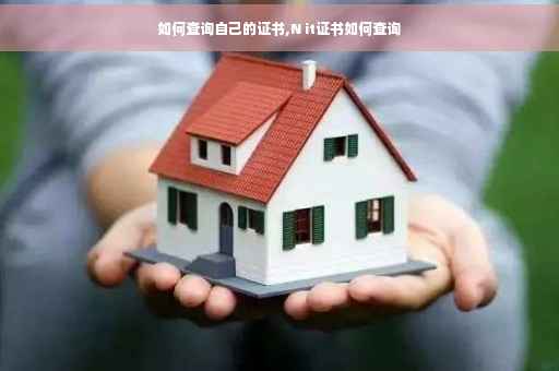 如何查询自己的证书,N it证书如何查询