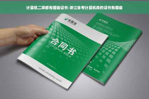 计算机二级都有哪些证书-浙江省考计算机类的证书有哪些