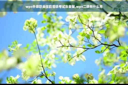wps中级职业技能等级考试含金量,wps二级有什么用