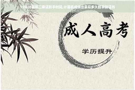 19年计算机二级证到手时间,计算机成绩出来后多久能拿到证书