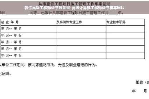软件高级工程师证书含金量-高级计算机工程师证书样本图片