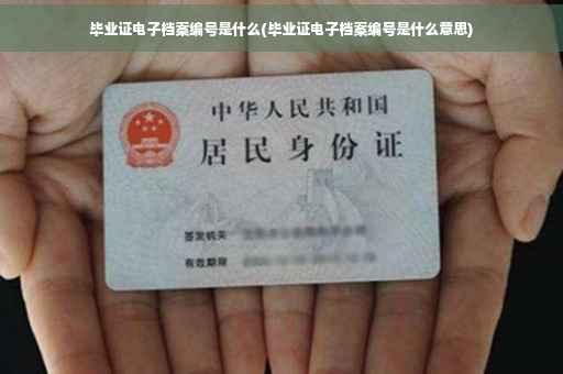 毕业证电子档案编号是什么(毕业证电子档案编号是什么意思)