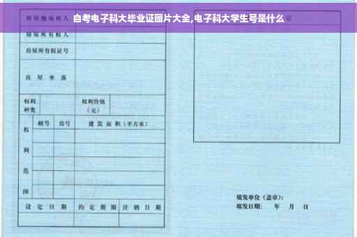 自考电子科大毕业证图片大全,电子科大学生号是什么