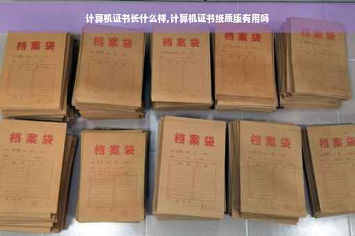 计算机证书长什么样,计算机证书纸质版有用吗