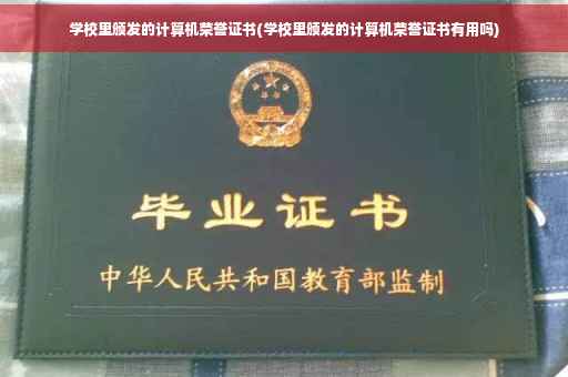 学校里颁发的计算机荣誉证书(学校里颁发的计算机荣誉证书有用吗)