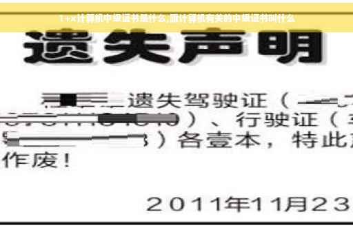 1+x计算机中级证书是什么,跟计算机有关的中级证书叫什么