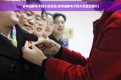 自考成都电子科大毕业证(自考成都电子科大毕业证图片)