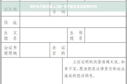 海外电子版毕业证(海外电子版毕业证算原件吗)