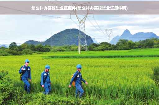 怎么补办高校毕业证原件(怎么补办高校毕业证原件呢)