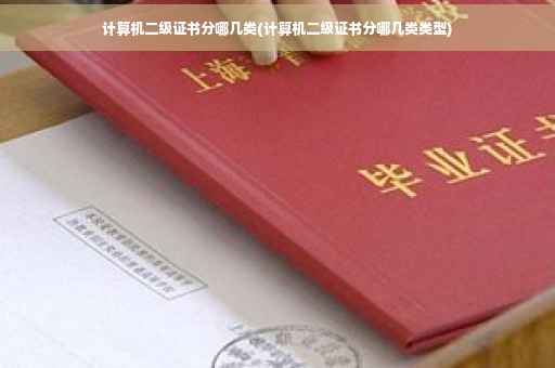 计算机二级证书分哪几类(计算机二级证书分哪几类类型)