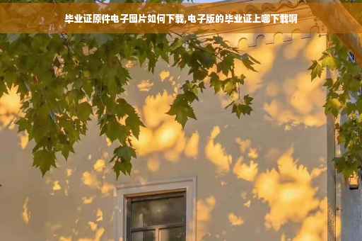 毕业证原件电子图片如何下载,电子版的毕业证上哪下载啊