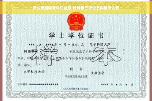 怎么查编程考级的成绩,计算机三级证书科目怎么查