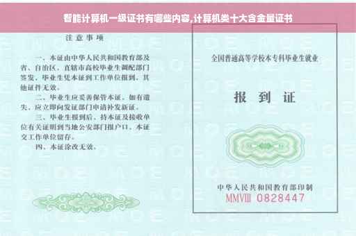 智能计算机一级证书有哪些内容,计算机类十大含金量证书