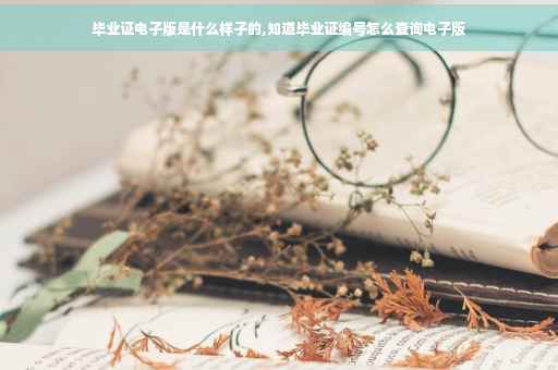毕业证电子版是什么样子的,知道毕业证编号怎么查询电子版