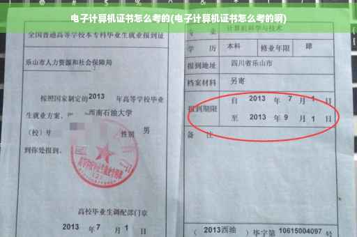 电子计算机证书怎么考的(电子计算机证书怎么考的啊)