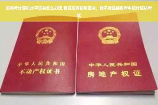 没有考计算机水平证书怎么办理,我还没有初级证书，能不能直接报考中级计算机考试