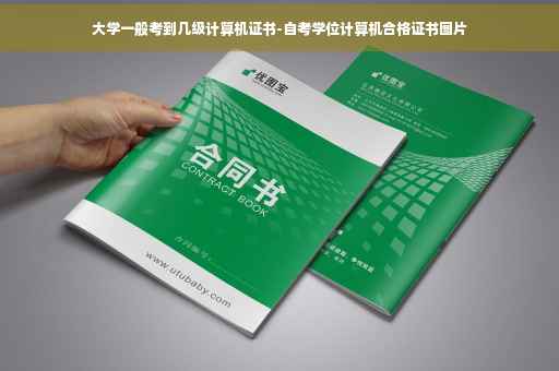 大学一般考到几级计算机证书-自考学位计算机合格证书图片