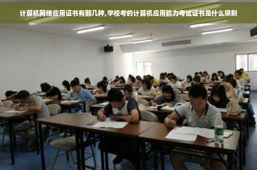 计算机网络应用证书有那几种,学校考的计算机应用能力考试证书是什么级别