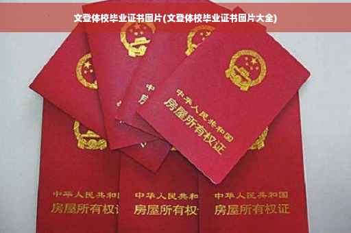 文登体校毕业证书图片(文登体校毕业证书图片大全)