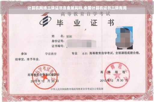 计算机网络三级证书含金量高吗,全国计算机证书三级有用