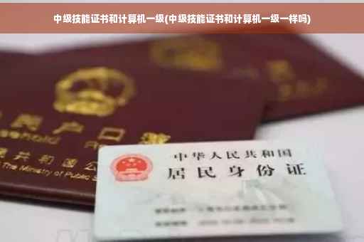 中级技能证书和计算机一级(中级技能证书和计算机一级一样吗)