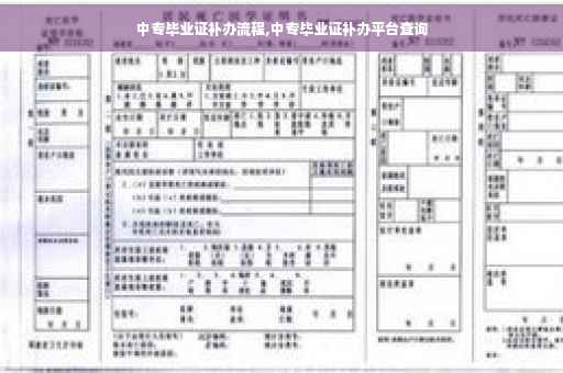 中专毕业证补办流程,中专毕业证补办平台查询