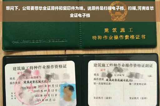 想问下，公司要带毕业证原件和复印件为啥。说原件是扫描电子档，扫描,河南省毕业证电子档