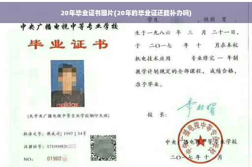 20年毕业证书图片(20年的毕业证还能补办吗)