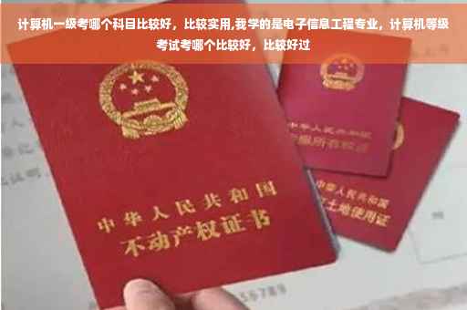 计算机一级考哪个科目比较好，比较实用,我学的是电子信息工程专业，计算机等级考试考哪个比较好，比较好过