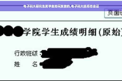 电子科大研究生奖学金如何发放的,电子科大统招毕业证