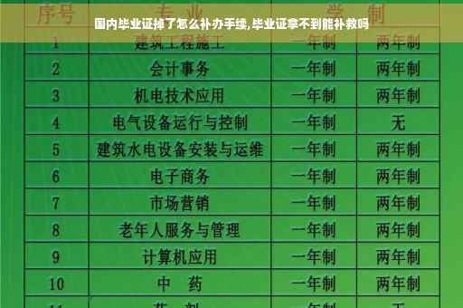 国内毕业证掉了怎么补办手续,毕业证拿不到能补救吗