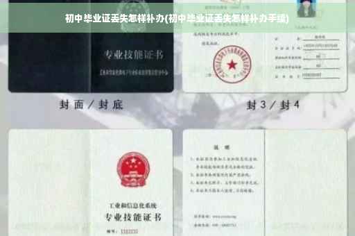 初中毕业证丢失怎样补办(初中毕业证丢失怎样补办手续)