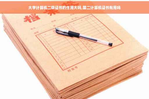 大学计算机二级证书的作用大吗,国二计算机证书有用吗