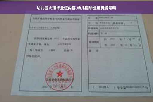 幼儿园大班毕业证内容,幼儿园毕业证有编号吗