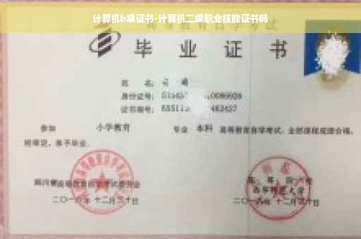 计算机b级证书-计算机二级职业技能证书吗