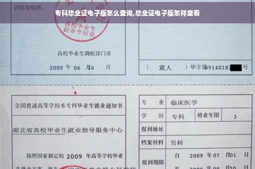 专科毕业证电子版怎么查询,毕业证电子版怎样查看