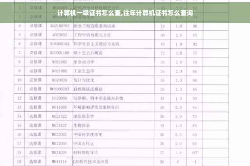 计算机一级证书怎么查,往年计算机证书怎么查询