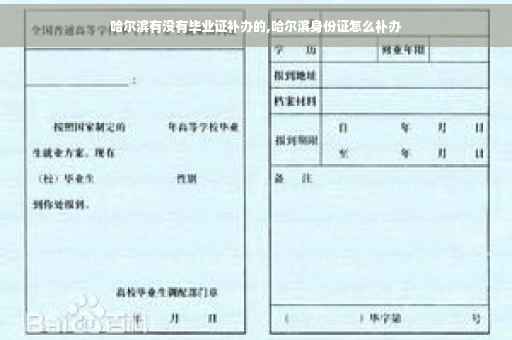 哈尔滨有没有毕业证补办的,哈尔滨身份证怎么补办