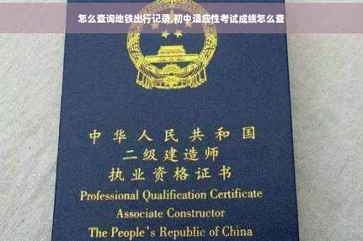 怎么查询地铁出行记录,初中适应性考试成绩怎么查