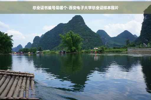 毕业证书编号是哪个-西安电子大学毕业证样本图片
