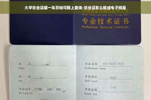 大学毕业证哪一年开始可网上查询-毕业证怎么做成电子档案