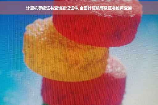计算机等级证书查询忘记证件,全国计算机等级证书如何查询