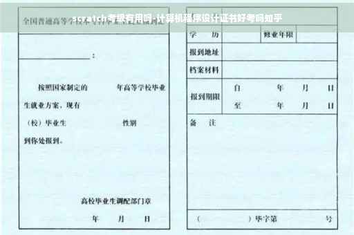 scratch考级有用吗-计算机程序设计证书好考吗知乎