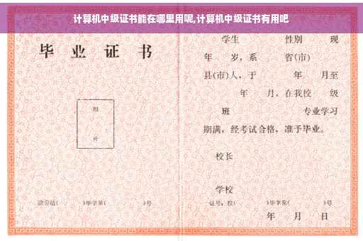 计算机中级证书能在哪里用呢,计算机中级证书有用吧