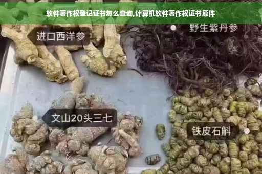 软件著作权登记证书怎么查询,计算机软件著作权证书原件