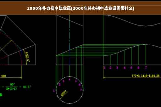 2000年补办初中毕业证(2000年补办初中毕业证需要什么)